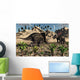 Pair Torosaurus Dinosaurs Fight Wall Decal Design 2