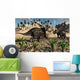 Pair Torosaurus Dinosaurs Fight Wall Decal Design 2