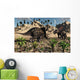 Pair Torosaurus Dinosaurs Fight Wall Decal Design 2