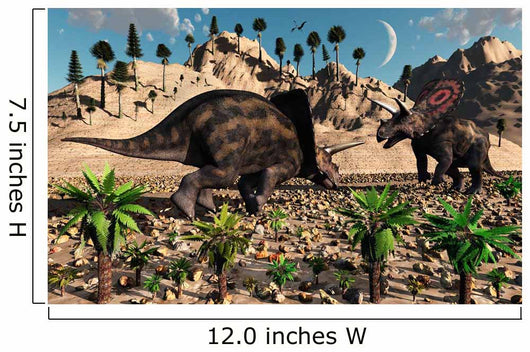 Pair Torosaurus Dinosaurs Fight Wall Decal Design 2