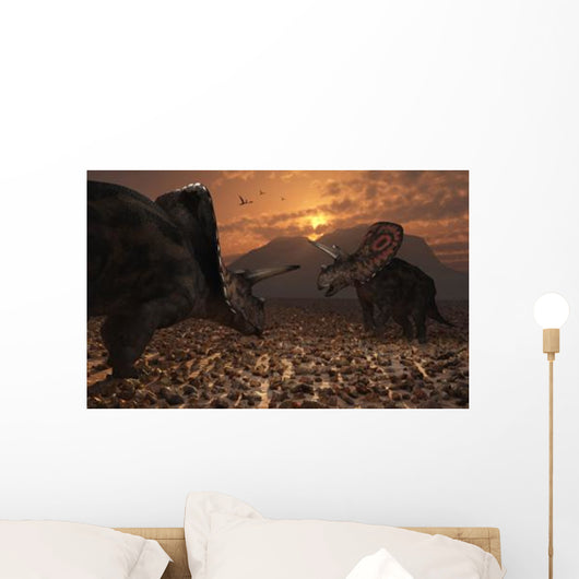 Pair Torosaurus Dinosaurs Fight Wall Decal Design 1