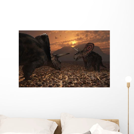 Pair Torosaurus Dinosaurs Fight Wall Decal Design 1