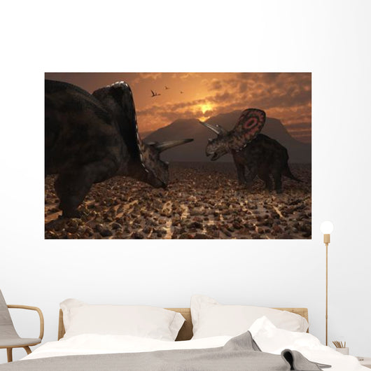 Pair Torosaurus Dinosaurs Fight Wall Decal Design 1