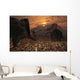 Pair Torosaurus Dinosaurs Fight Wall Decal Design 1