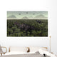 Pair Parasaurolophus Walk through Wall Decal