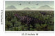 Pair Parasaurolophus Walk through Wall Decal