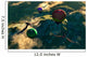 Prehistoric Balloon Rides Take Wall Decal