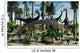 Herd Diplodocus Dinosaurs Feeding Wall Decal