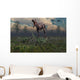 Two Lesothosaurus Dinosaurs Run Wall Decal