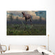 Two Lesothosaurus Dinosaurs Run Wall Decal