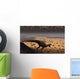 Lone T Rex Looks Wall Decal