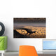 Lone T Rex Looks Wall Decal