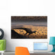 Lone T Rex Looks Wall Decal