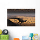 Lone T Rex Looks Wall Decal