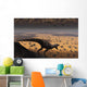 Lone T Rex Looks Wall Decal