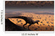 Lone T Rex Looks Wall Decal