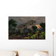 Prehistoric Dinosaurs Roam Freely Wall Decal