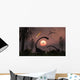 Artist's Concept Extinction Prehistoric Wall Decal