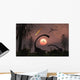 Artist's Concept Extinction Prehistoric Wall Decal