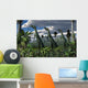 Group Lesothosaurus Dinosaurs Lookout Wall Decal