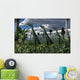 Group Lesothosaurus Dinosaurs Lookout Wall Decal