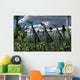 Group Lesothosaurus Dinosaurs Lookout Wall Decal