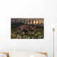 Artist's Concept Triceratops Wall Decal