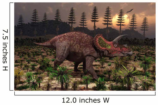 Artist's Concept Triceratops Wall Decal