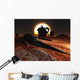 Every Cosmic Year Space Wall Decal