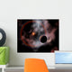 Artist's Concept Rose Nebula Wall Decal Design 2