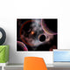 Artist's Concept Rose Nebula Wall Decal Design 1