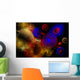 Universe and Its Wondrous Wall Decal
