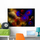 Universe and Its Wondrous Wall Decal