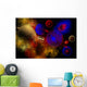 Universe and Its Wondrous Wall Decal
