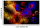 Universe and Its Wondrous Wall Decal
