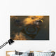 Artist's Concept Crop Circles Wall Decal