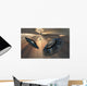 Ufo's and Fighter Planes Wall Decal
