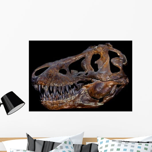 Genuine Fossilized Skull T Wall Decal Design 2