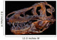 Genuine Fossilized Skull T Wall Decal Design 2