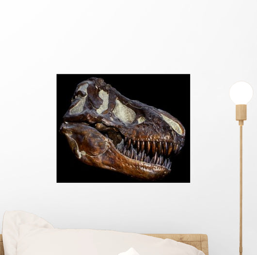 Genuine Fossilized Skull T Wall Decal Design 1