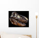 Genuine Fossilized Skull T Wall Decal Design 1