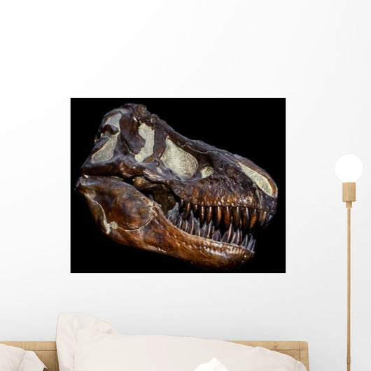 Genuine Fossilized Skull T Wall Decal Design 1