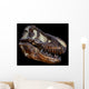 Genuine Fossilized Skull T Wall Decal Design 1