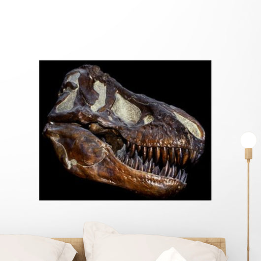 Genuine Fossilized Skull T Wall Decal Design 1