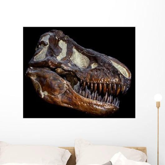 Genuine Fossilized Skull T Wall Decal Design 1