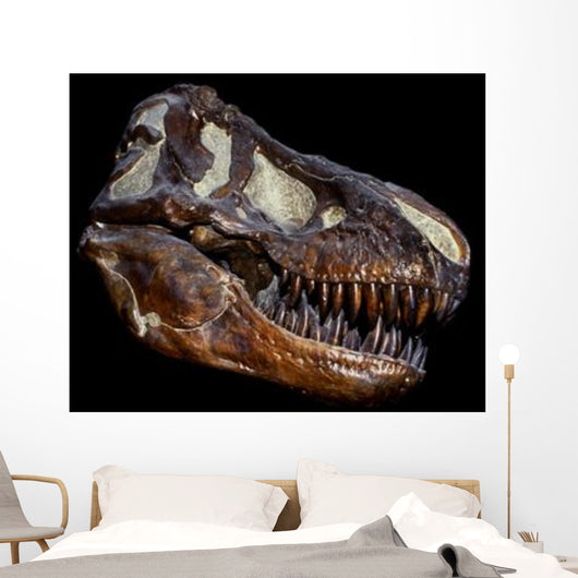 Genuine Fossilized Skull T Wall Decal Design 1