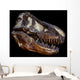 Genuine Fossilized Skull T Wall Decal Design 1