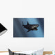 Megalodon Shark from Cenozoic Wall Decal