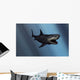 Megalodon Shark from Cenozoic Wall Decal