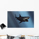 Megalodon Shark from Cenozoic Wall Decal